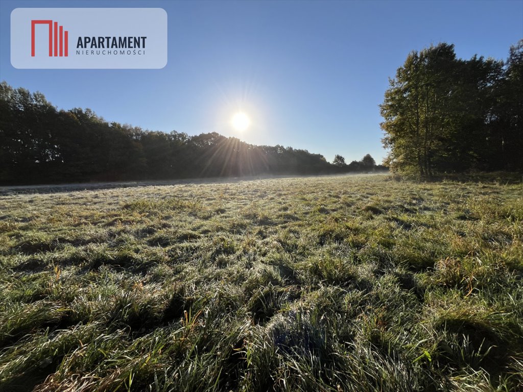 Działka gospodarstwo rolne na sprzedaż Dalewo  29 700m2 Foto 4