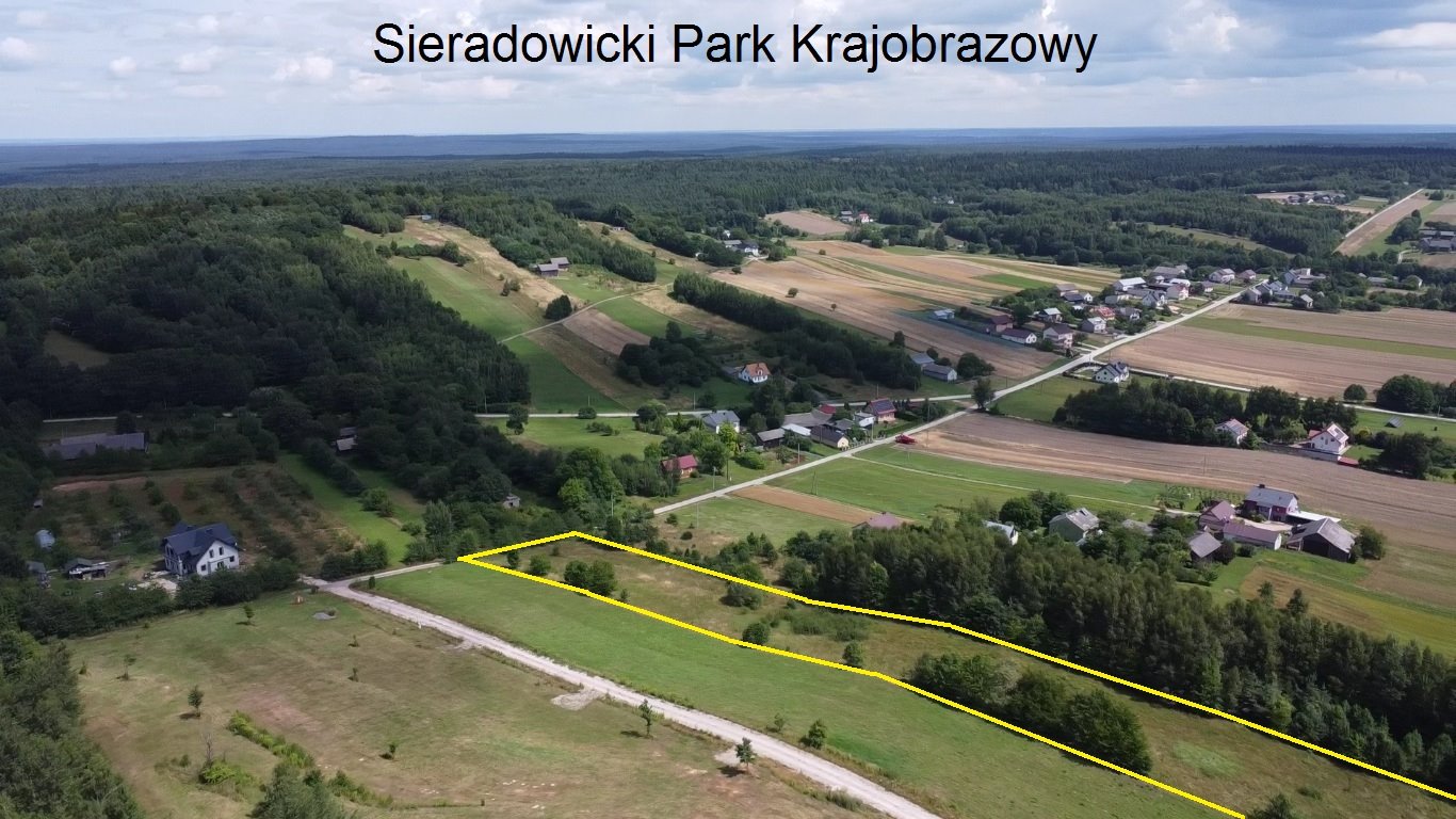 Działka budowlana na sprzedaż Orzechówka  9 800m2 Foto 9