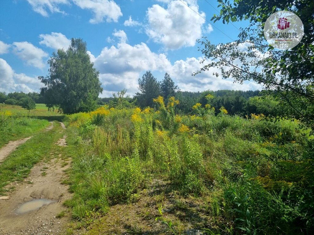 Działka budowlana na sprzedaż Patryki, Patryki  1 616m2 Foto 1