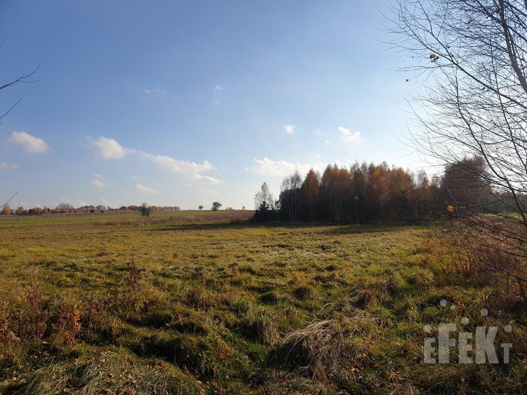 Działka rolna na sprzedaż Stary Łajszczew  44 500m2 Foto 6