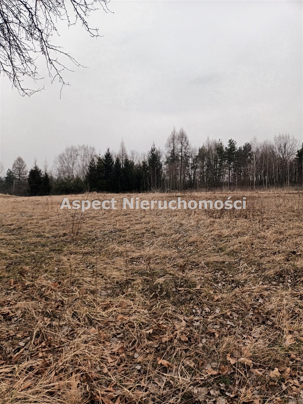 Działka budowlana na sprzedaż Rybnik, Popielów  1 637m2 Foto 3
