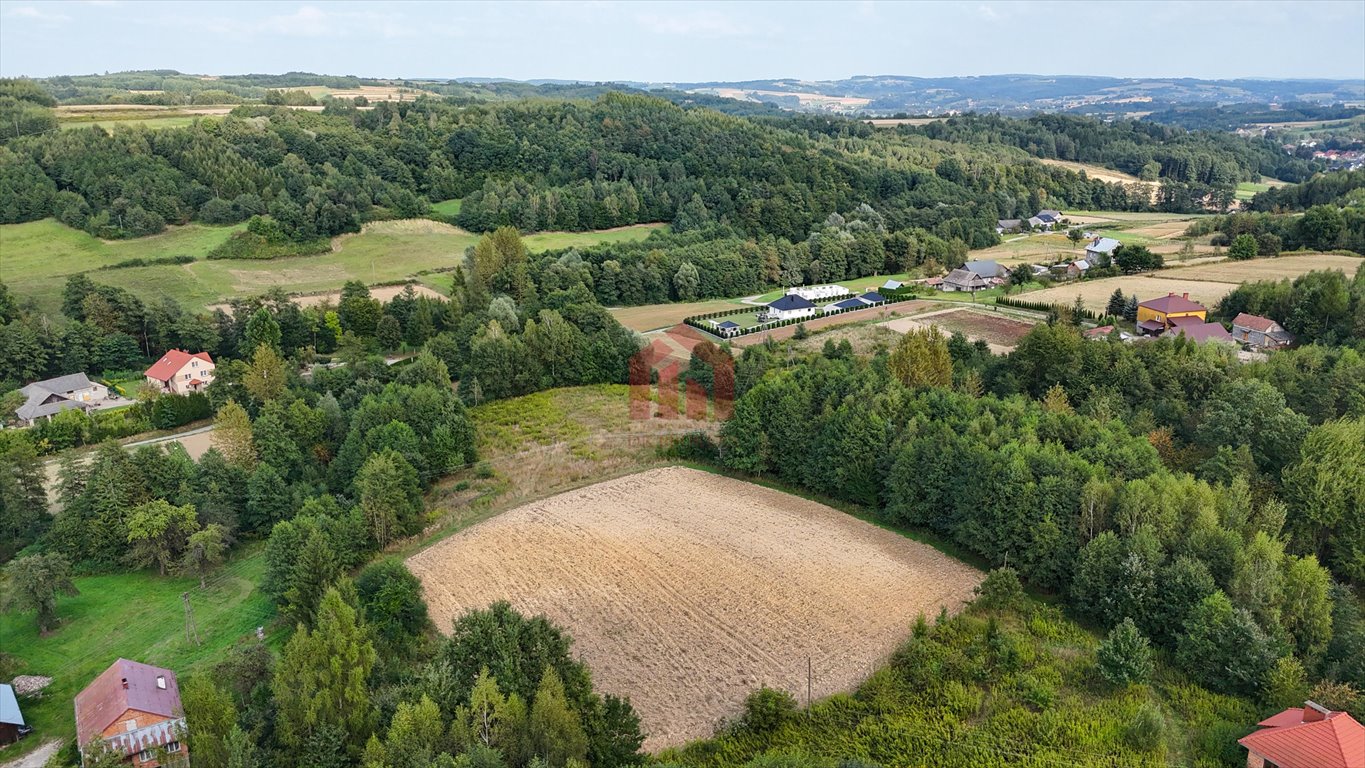 Działka budowlana na sprzedaż Niedźwiada  5 500m2 Foto 4