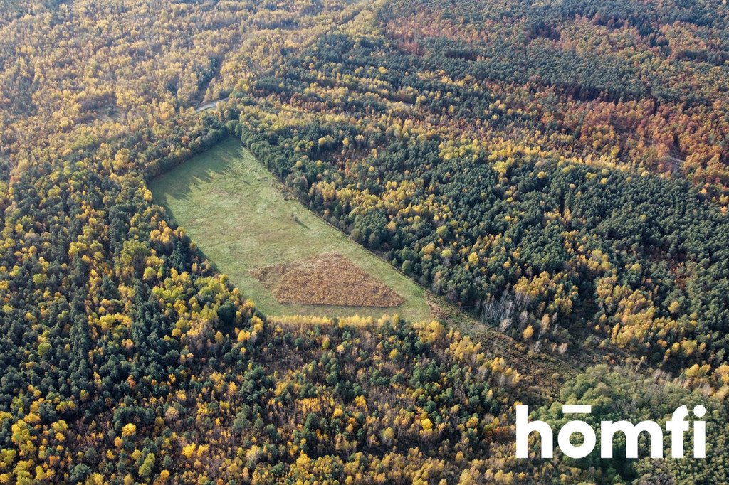 Działka budowlana na sprzedaż Chlewiska  130 600m2 Foto 6