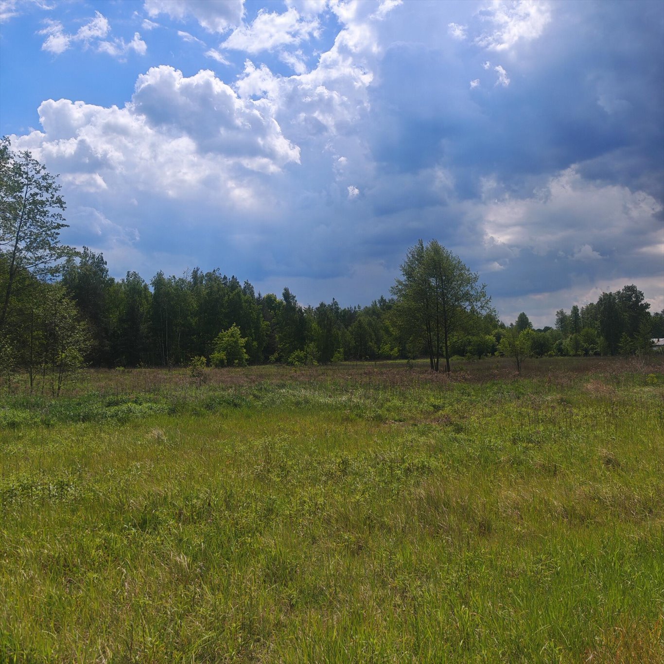 Działka 852 m² w Izabelinie-Dziekanówku, media, blisko Warszawy Izabelin-Dziekanówek  852m2 Foto 1