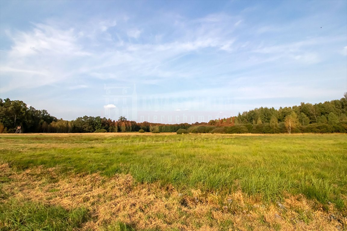 Działka inna na sprzedaż Brynica  4 000m2 Foto 2