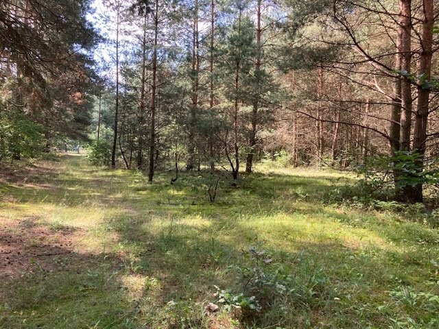 Działka budowlana 1196 m² z MPZP, cisza i blisko Łodzi - polecam! Słowak  1 196m2 Foto 1