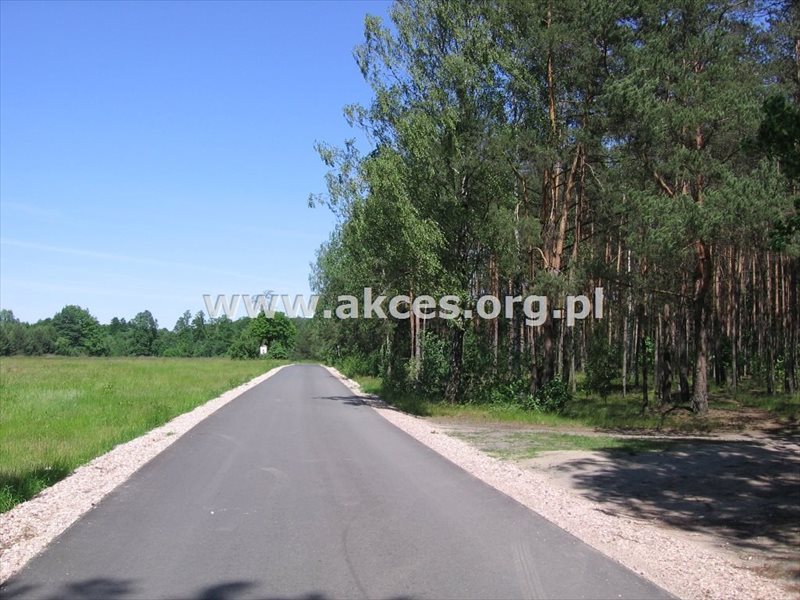 Działka budowlana na sprzedaż Budy-Grzybek, Kiepury 8 600m2 Foto 1 Działka budowlana na sprzedaż Budy-Grzybek, Kiepury 8 600m2 Foto 1