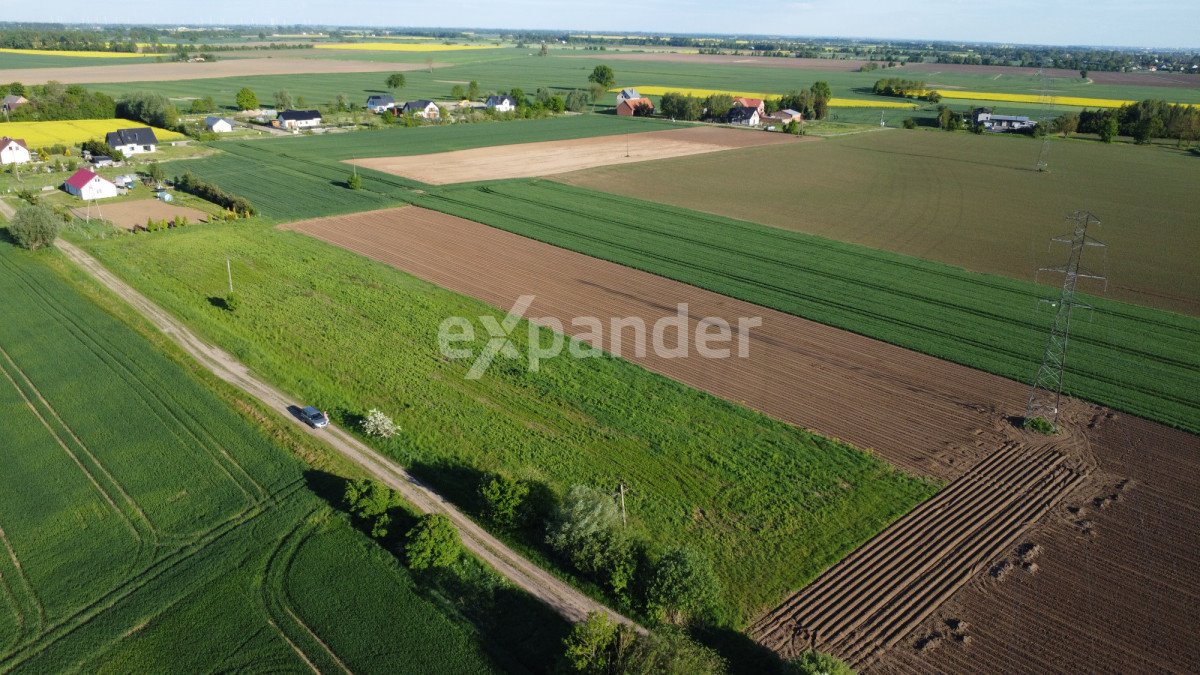 Działka budowlana na sprzedaż Suchy Dąb  3 000m2 Foto 8