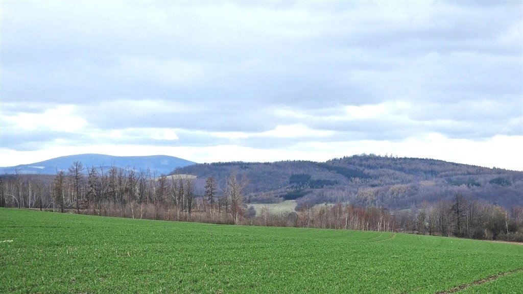 Sprzedam widokową działkę budowlaną 42 m² w Starym Julianowie Dziećmorowice, Stary Julianów  1 735m2 Foto 1