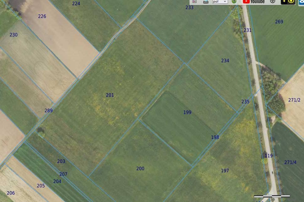 Działka rolna na sprzedaż Przytuły-Kolonia  70 000m2 Foto 1