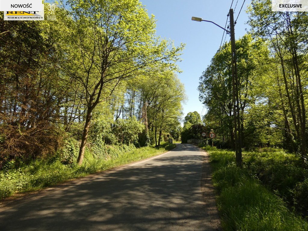 Działka budowlana na sprzedaż Łoźnica  3 004m2 Foto 6