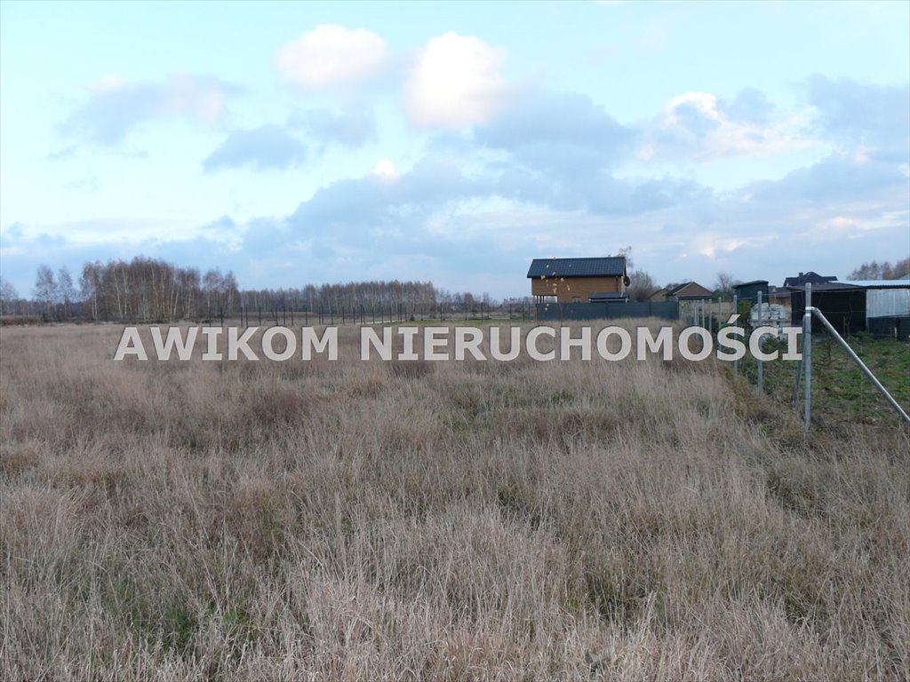 Działka rolna na sprzedaż Skierniewice, Sierakowice Lewe  11 173m2 Foto 8