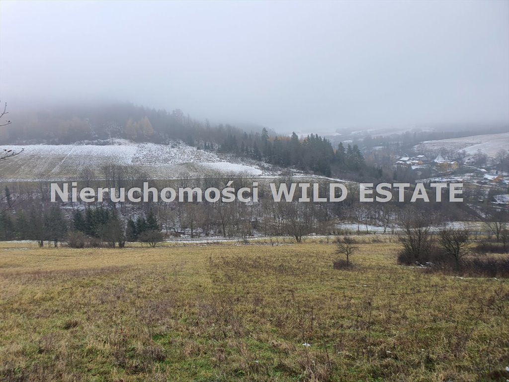 Malownicza działka rolna 1,36 ha z możliwością zabudowy polecam Baligród, Baligród  13 673m2 Foto 1