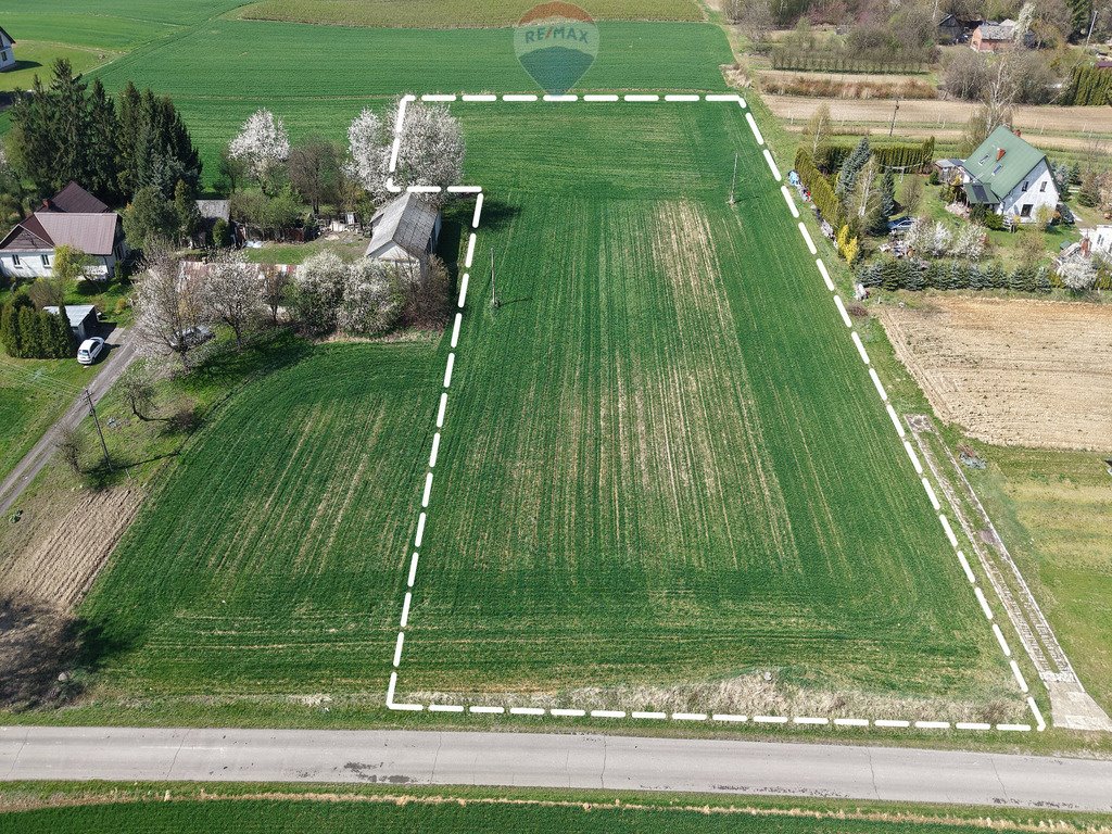 Działka 1 ha w Drzewcach-Kolonii z mediami i możliwością dostosowania Drzewce-Kolonia  10 000m2 Foto 1