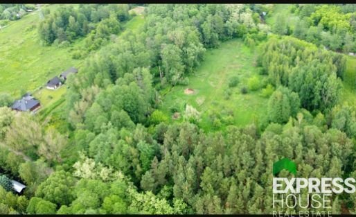 Działka budowlana na sprzedaż Kruszówiec, Nowa  4 500m2 Foto 4