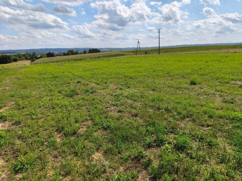 Do sprzedania działka 16,22 ar w Łańcucie z mediami Łańcut, Wandy Rutkiewicz  1 622m2 Foto 1