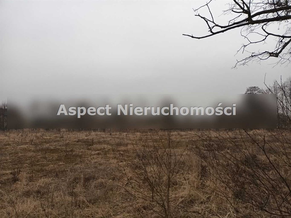 Działka budowlana na sprzedaż Żory, Baranowice  6 569m2 Foto 2