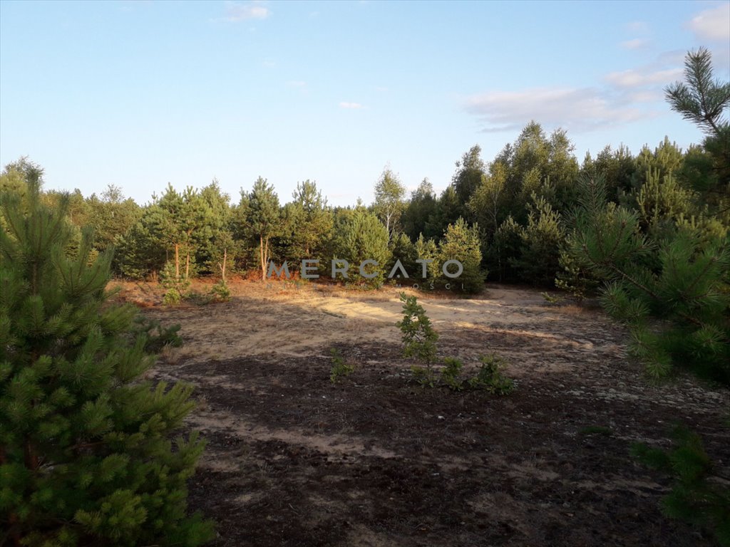 Działka budowlana na sprzedaż Pupkowizna  1 000m2 Foto 8