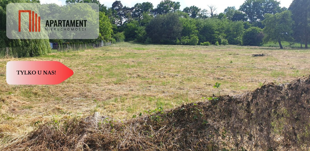 Działka budowlana na sprzedaż Stęszów  2 900m2 Foto 1