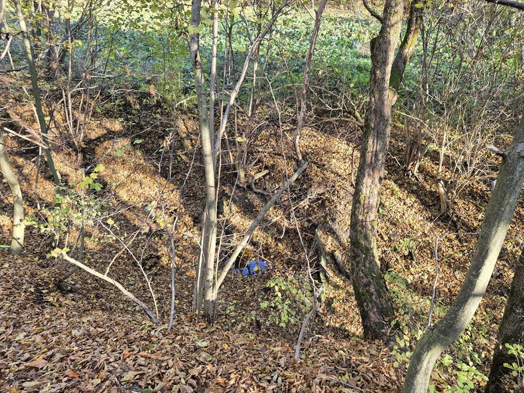 Działka rolna na sprzedaż Jasionka  7 000m2 Foto 10