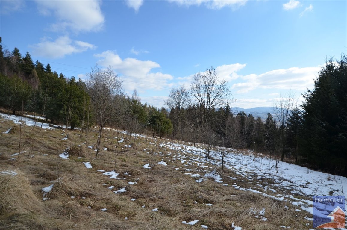 Działka inna na sprzedaż Zamieście  16 400m2 Foto 19