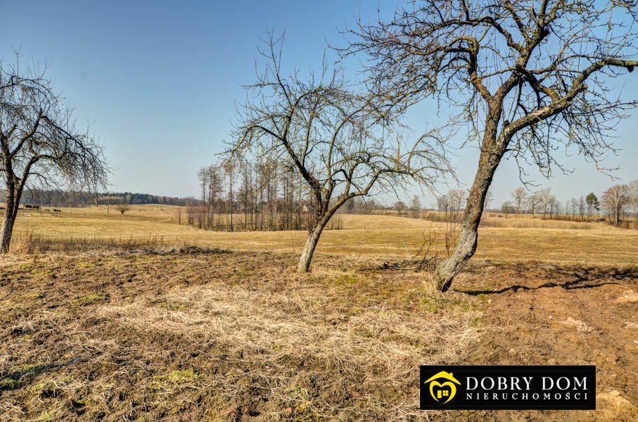 Działka rolna na sprzedaż Wiśniowo Ełckie  3 000m2 Foto 1