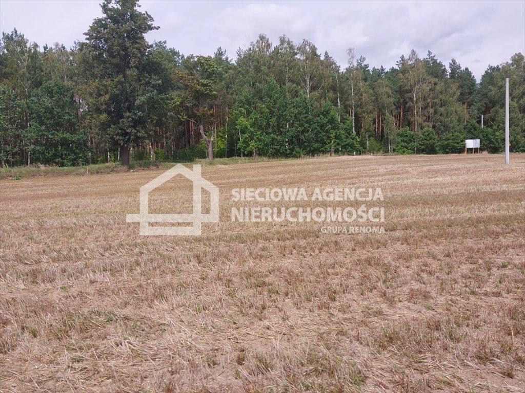 Działka siedliskowa na sprzedaż Grabowo  3 452m2 Foto 3