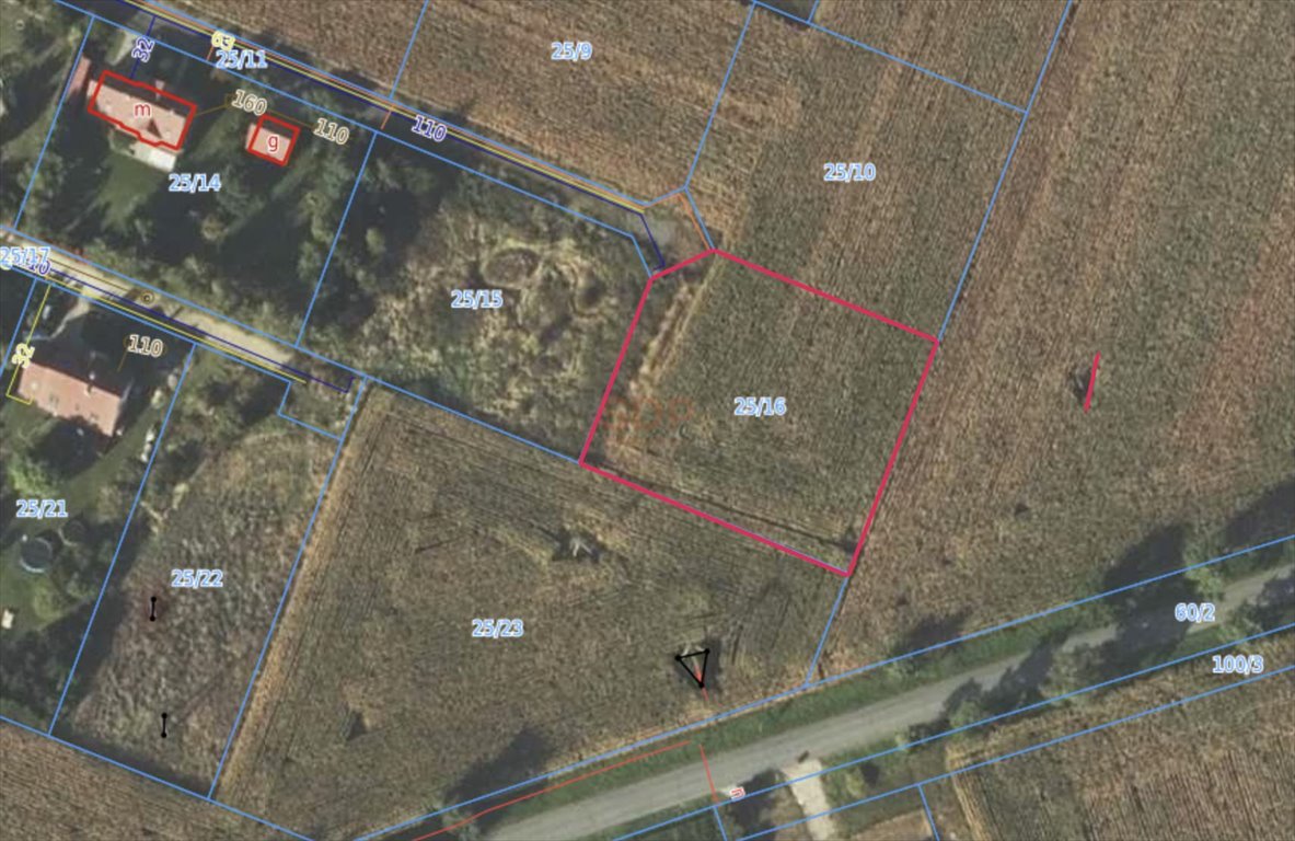 Działka siedliskowa na sprzedaż Pełczyce  2 164m2 Foto 1