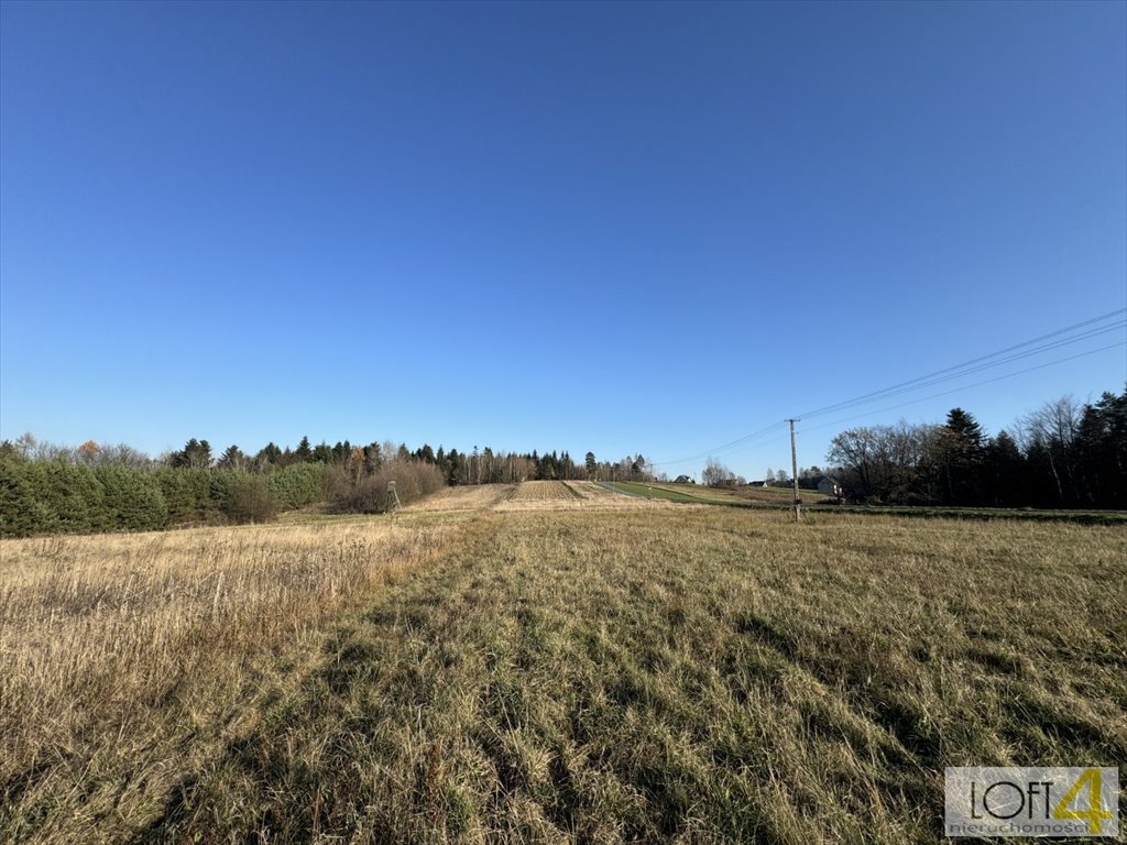 Działka budowlana na sprzedaż Polichty  3 000m2 Foto 4