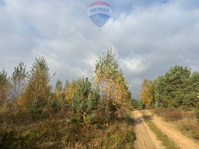 Działka budowlana na sprzedaż Czapielsk, Lubczykowa  1 007m2 Foto 4