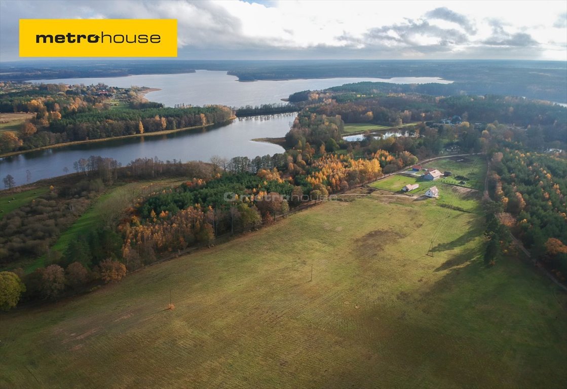 Działka inna na sprzedaż Międzylesie  3 148m2 Foto 1