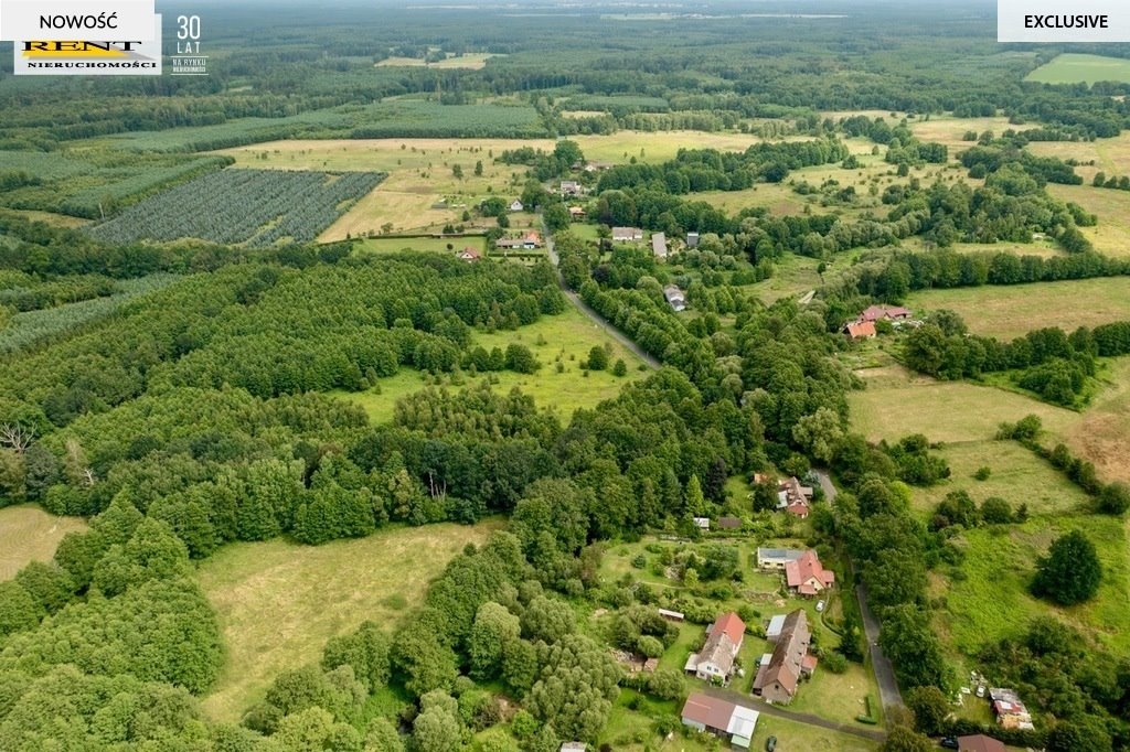 Działka budowlana na sprzedaż Łoźnica  3 004m2 Foto 15