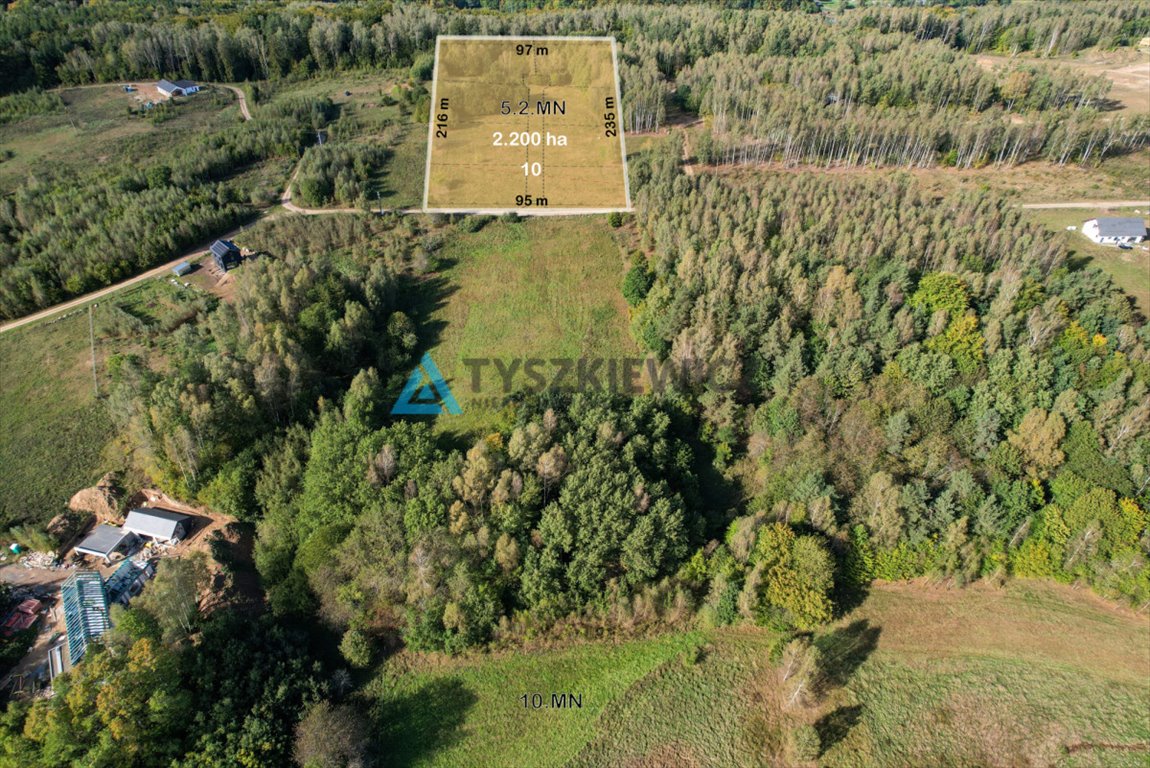 Działka budowlana na sprzedaż Przywidz, Gawronia  22 000m2 Foto 2