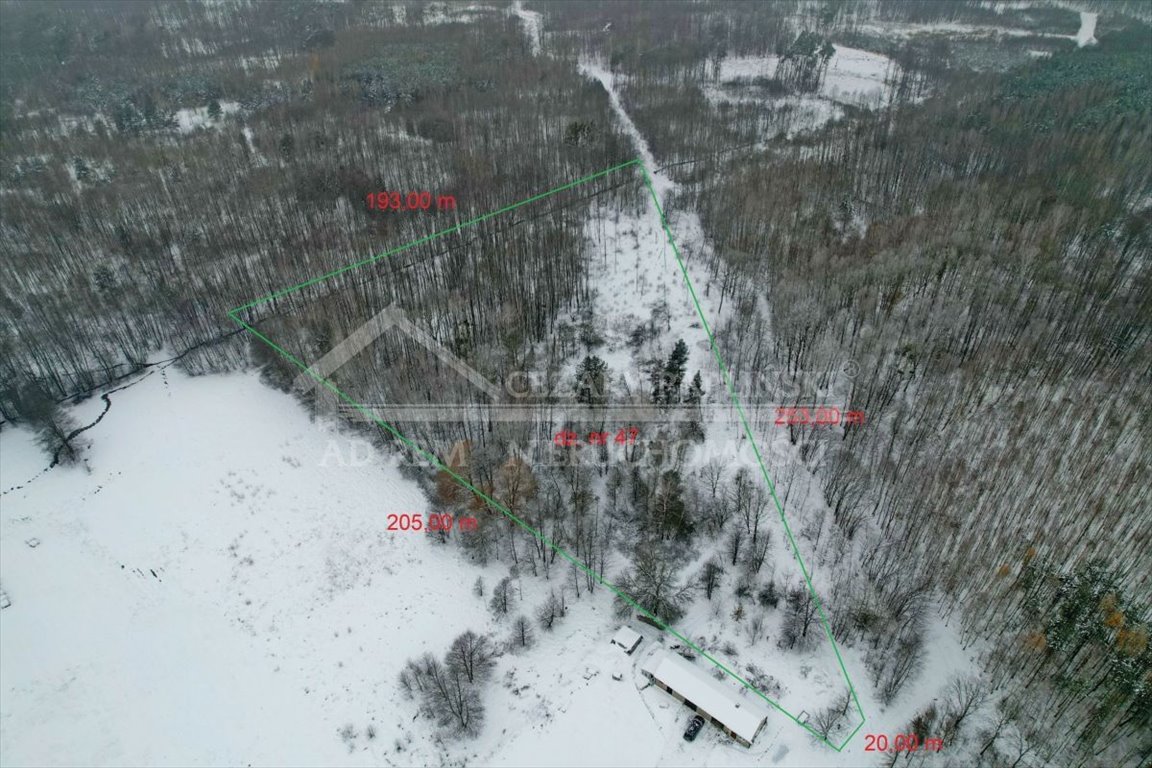 Działka 2,11 ha z lasem i możliwością zabudowy Stanisławów, Stanisławów, las, możliwość zabudowy  21 100m2 Foto 1
