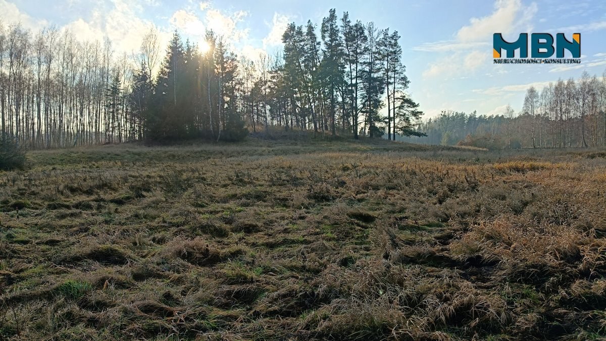 Działka budowlana na sprzedaż Miłki, Rydzewo  3 022m2 Foto 14