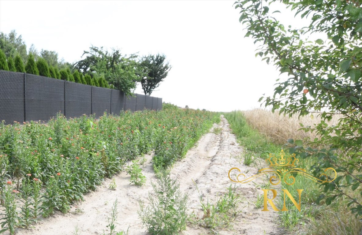 Działka budowlana na sprzedaż Nowa Wola  1 800m2 Foto 7