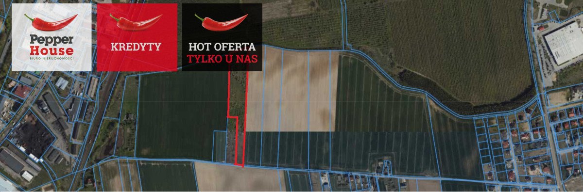 Działka 15 248 m2 z potencjałem pod dom i gospodarkę Bałdowo, Czesława Miłosza  15 248m2 Foto 1