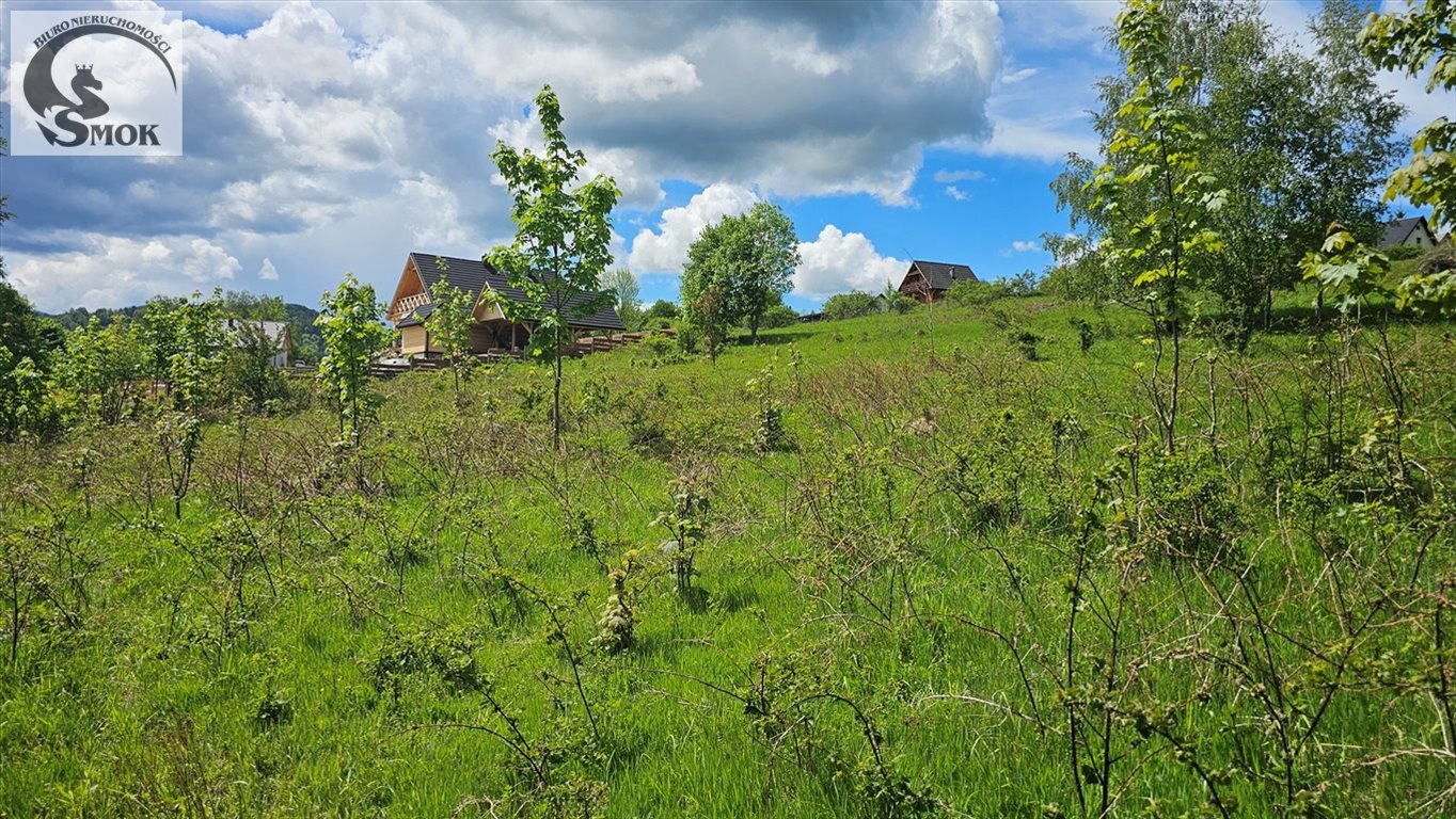 Działka budowlana na sprzedaż Jaworskie  3 250m2 Foto 5