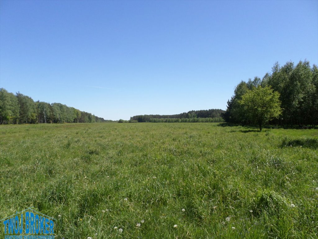 Działka rolna na sprzedaż Strzeczona, Strzeczona  206 000m2 Foto 5