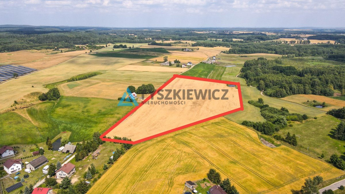 Działka rolna na sprzedaż Szczodrowo  38 300m2 Foto 3