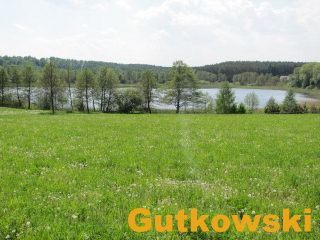Działka rolna na sprzedaż Jamielnik, gmina Nowe Miasto Lubawskie  10 005m2 Foto 1