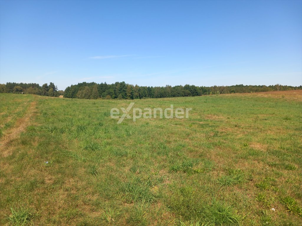 Działka rolna 1,24 ha z możliwością podziału i widokiem na las Rojewo  12 400m2 Foto 1