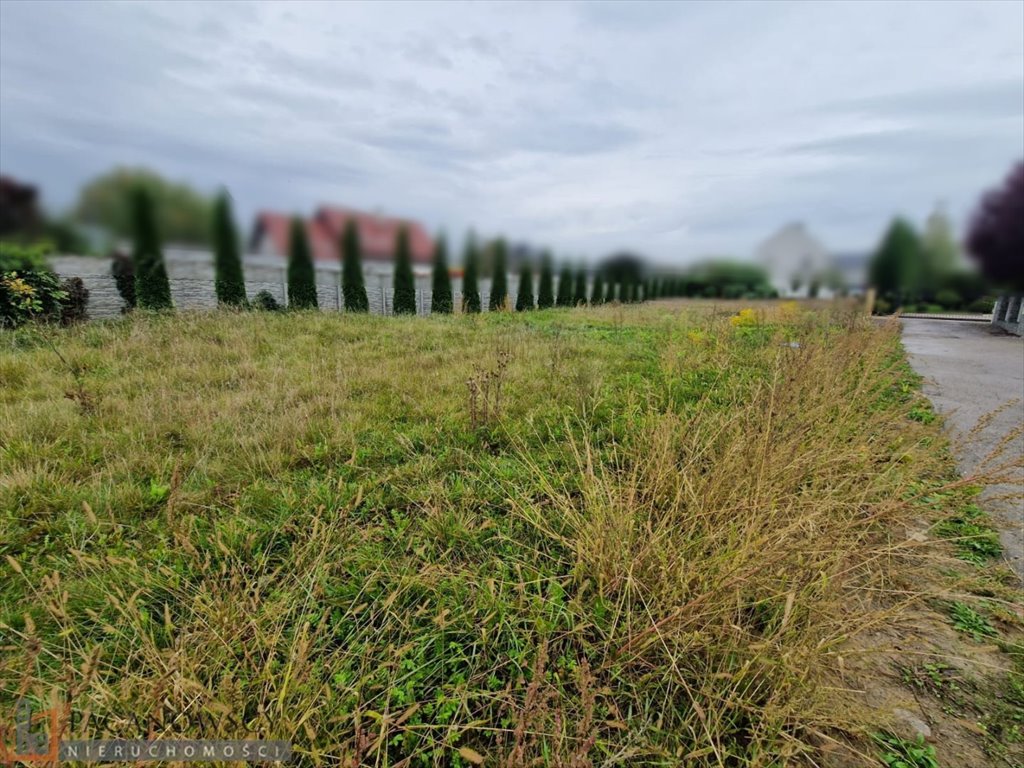 Działka budowlana na sprzedaż Bibice  700m2 Foto 2