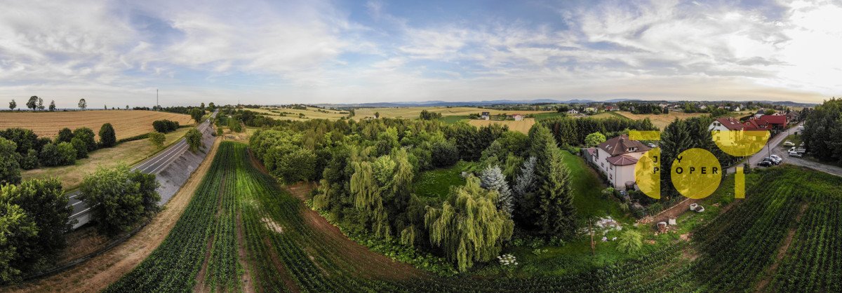 Działka budowlana na sprzedaż Brzezie  9 300m2 Foto 9