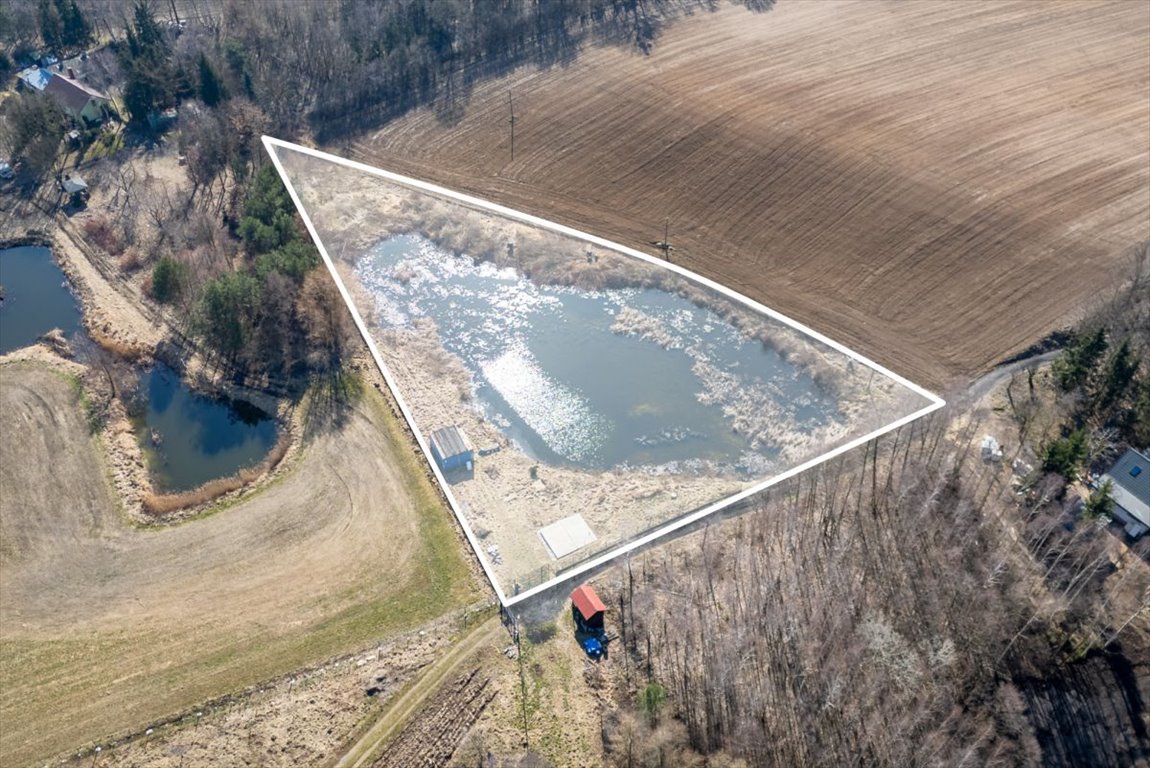 Działka 5590 m2 z stawem, budowa domu, cisza i natura Trutowo  5 590m2 Foto 1