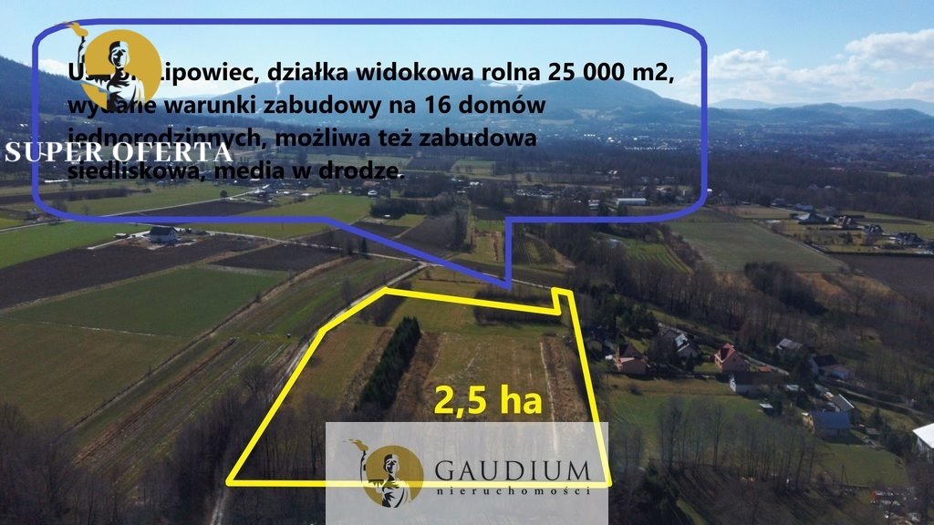 Działka siedliskowa na sprzedaż Ustroń, Lipowiec, Przetnica  25 522m2 Foto 2