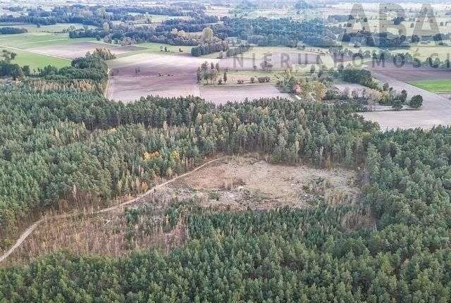 Działka rolna na sprzedaż Myślibórz  9 200m2 Foto 5