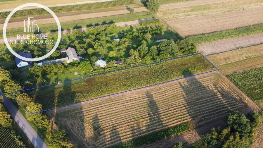 Działka inna na sprzedaż Białopole, Żołnierzy I AWP  4 799m2 Foto 3