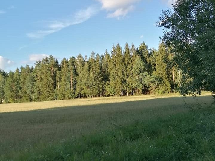 Działka gospodarstwo rolne na sprzedaż Rybniki  3 400m2 Foto 1