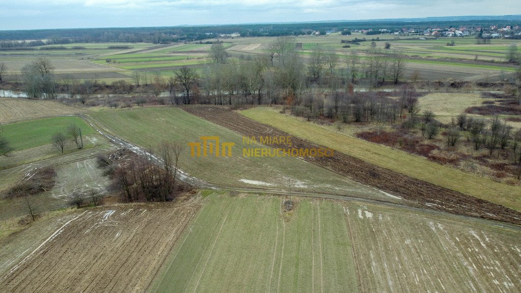 Działka rekreacyjna na sprzedaż Gniewczyna Tryniecka  3 000m2 Foto 6